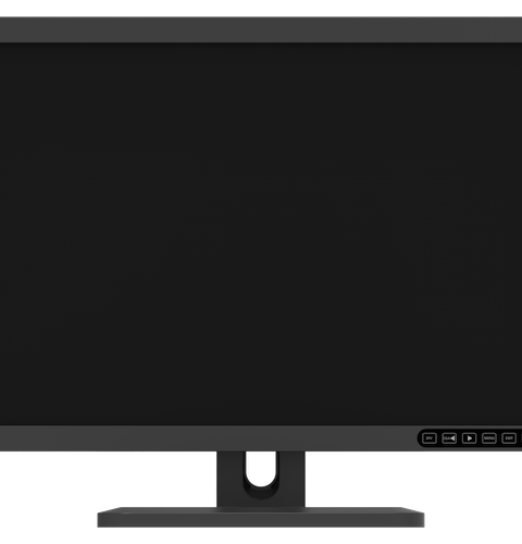 JUSHA R241M 2MP Clinical Review Display