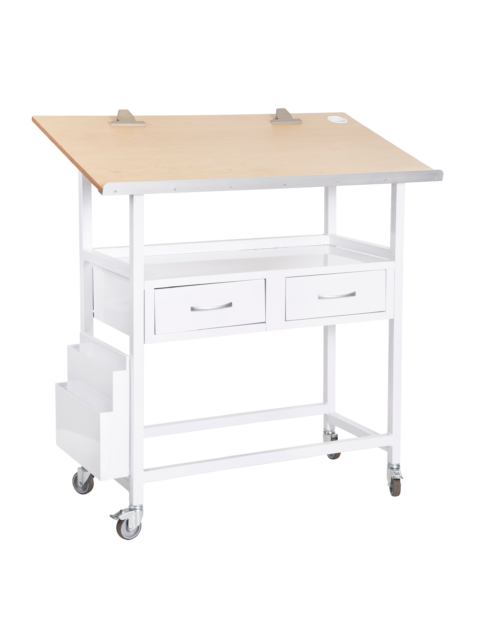 ICU Chart Trolley with 2 drawers