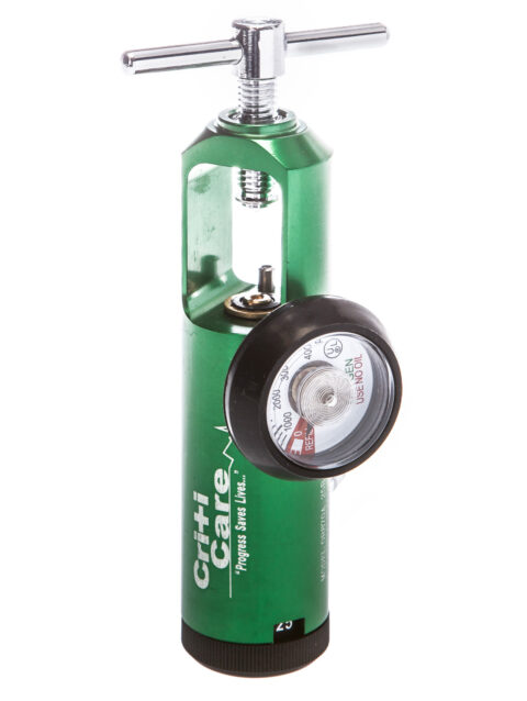 Regulator O2 Pin Index