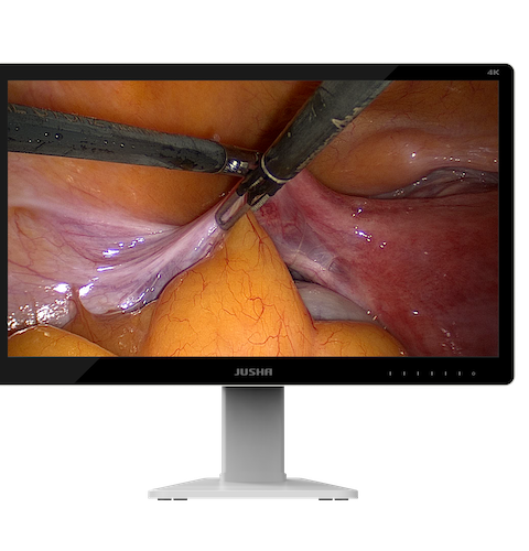 JUSHA E320AG 4K 32" Surgical Display