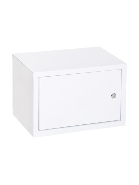 EXTRA SMALL CABINET FOR DEADLY MEDICATION